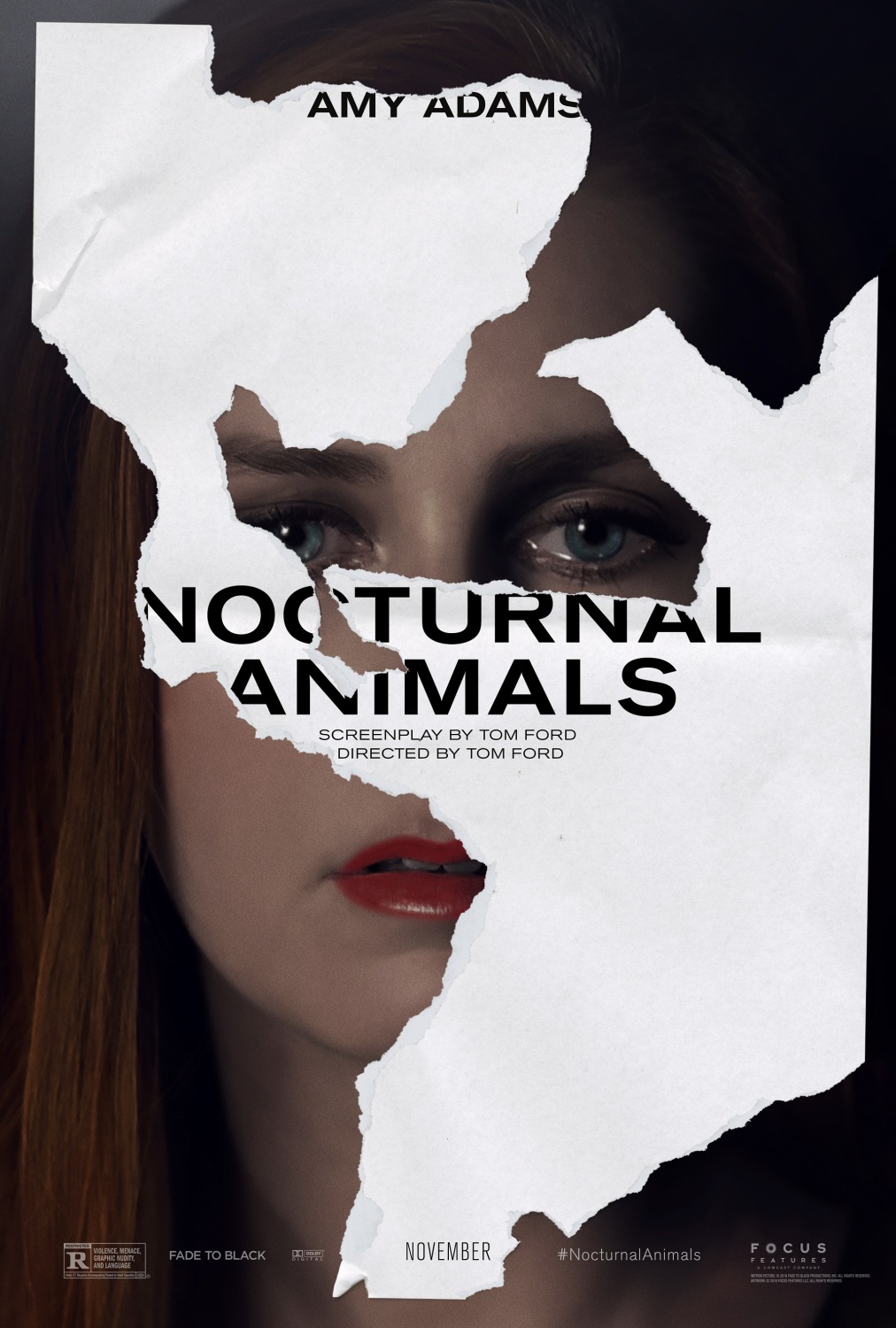 nocturnal_animals_xlg